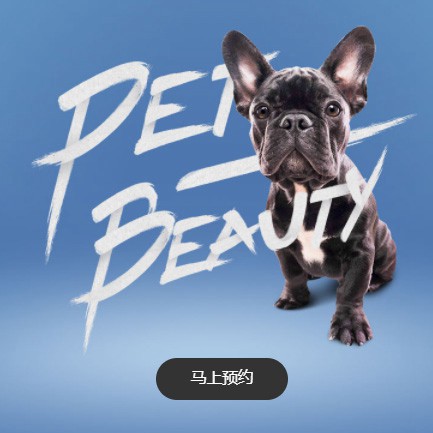 高邮宠物中心小程序开发